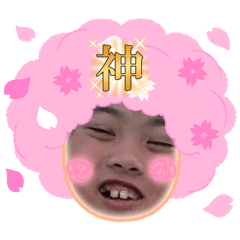 wakaritsu_20260517223751