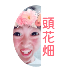 Noodle@KTR8500_20260517224504