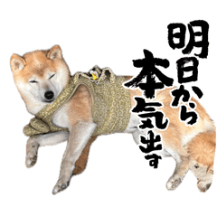 HIROKI_20260517224102