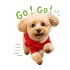 Chantochan_20260517223905