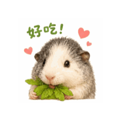 卡稱日常