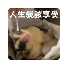 阿布的生活語錄-1