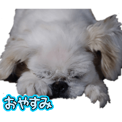 YUMI_20260517215252
