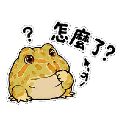 語之角蛙