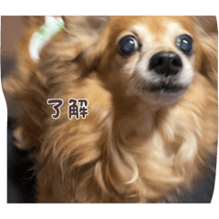 こんにちは元気ですか犬のスタンプ！