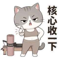 冷淡皮拉提斯貓貓