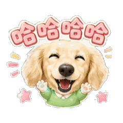 臘腸狗豆豆80♡開心動起來♡