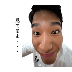 SHO_20260518004101