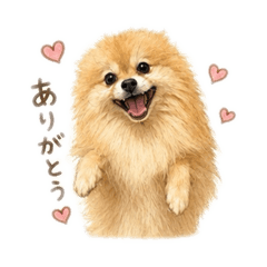 yukina_20260518070217
