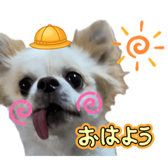 COCO_20260518080412