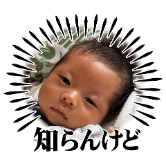 RYO_20260518002919