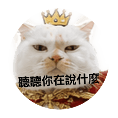 105年小花日常