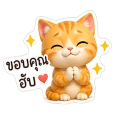 Orange cats are used in daily life 2