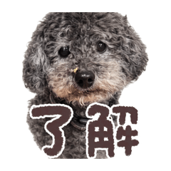 sora_20260518135602