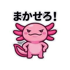 m-cha_20260518093959