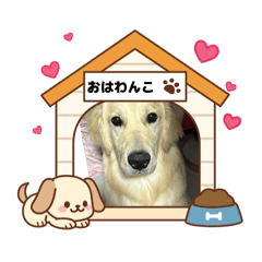 RUNA_20260518141114