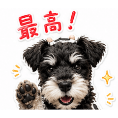 ushi_20260518142457