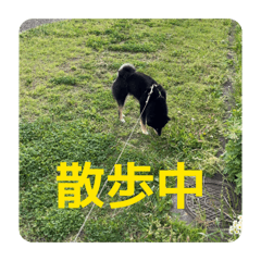 omaru_20260518143035