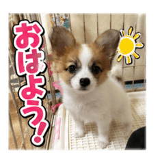 uyuchan_20260518103530