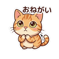 Kinjyo no neko