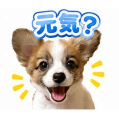 uyuchan_20260518130704