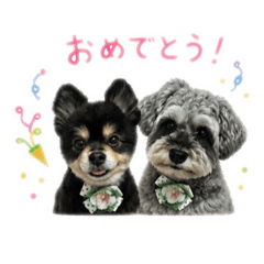 rin_20260518130426