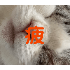 tumugi3_20260518130431