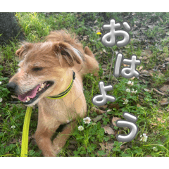 tina_20260518041334