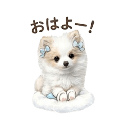 pomu_20260518112520