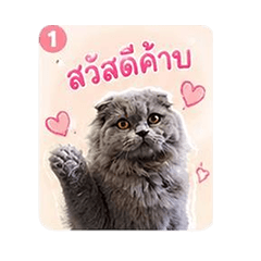 เฮงเฮง . . .