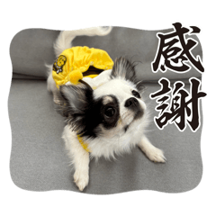 SATOH_20260518112024
