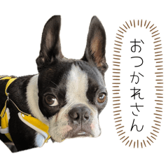 etsuko_20260518134742