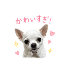 ohmori_20260518170315