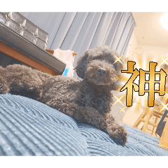 Ryusei_20260518170806