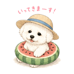 shuka_20260518081224