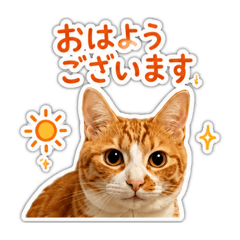 hyuganatsu_20260518081120