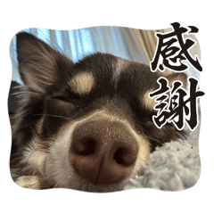 takkun_20260518084644