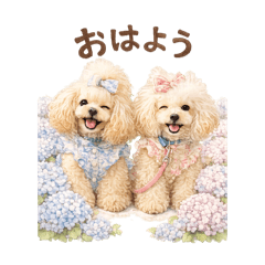 song june_20260518123846
