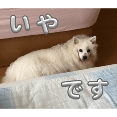 HARUKA_20260518124650