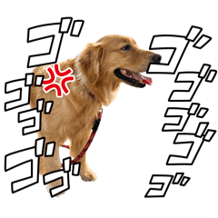 daiki_20260518125401