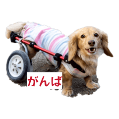 Himemama_20260518124452