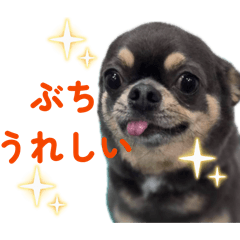 BD3