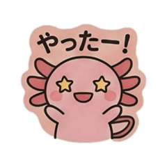 m-cha_20260518182317