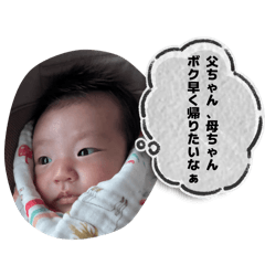 ai_20260508133026