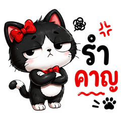 Naughty Black Cat.