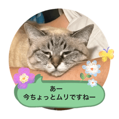 ito_20260518091635