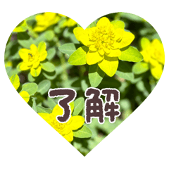 yuka_20260518091711