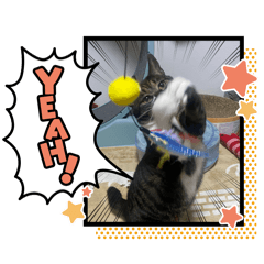 yusaku_20260518174332
