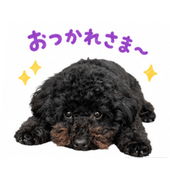 Annie Connie Teddy_20260518145057