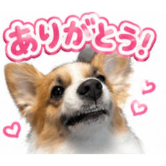 uyuchan_20260518105814